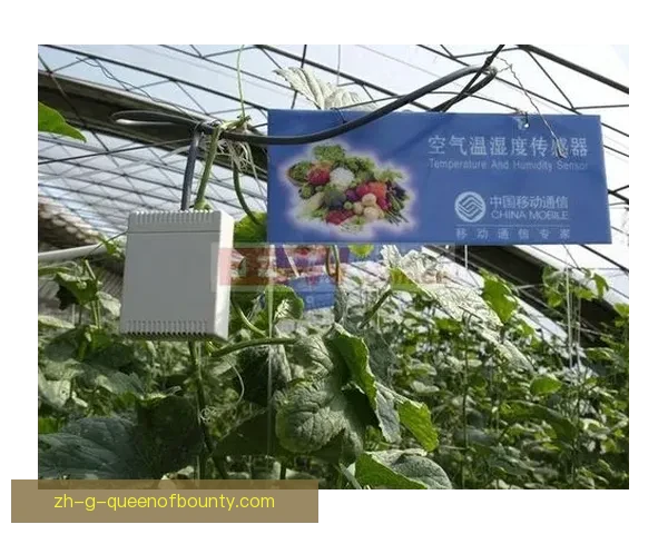 2026世界杯引入高科技传感器实时监测球场草坪湿度